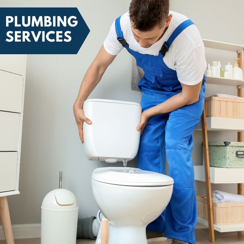 Plumbing Company in Tampico, IL